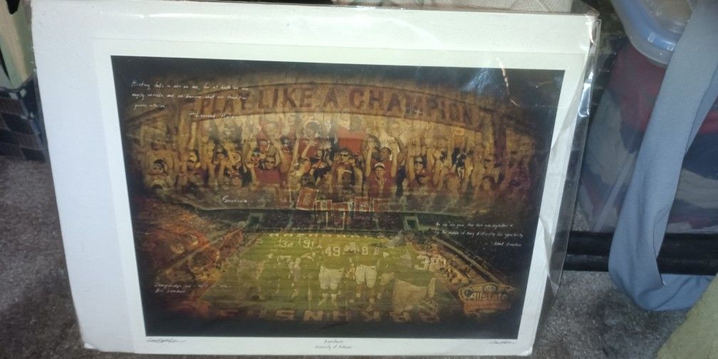 Arkansas Razorback Picture