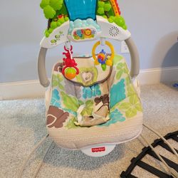 This is a Fisher-Price Rainforest Friends Deluxe Bouncer.