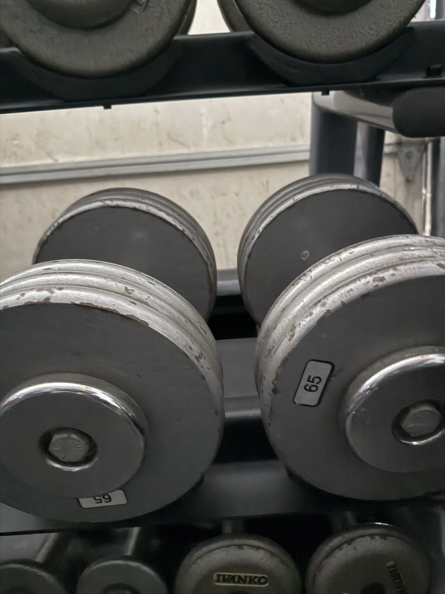 65 Ib Dumbbells
