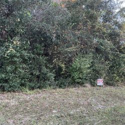 1/2 Acre Land In Citra County 