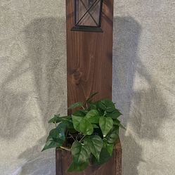 Home And Plant Decoration 