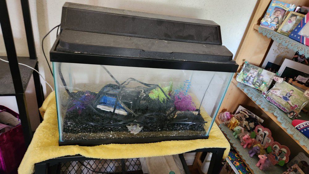 10 GALLONS FISH TANK, STAND W/ACCESSORIES 