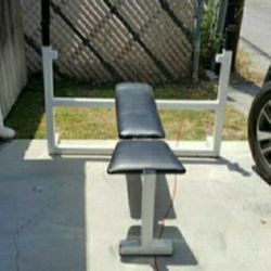 Olympic weight bench press workout gym exercise