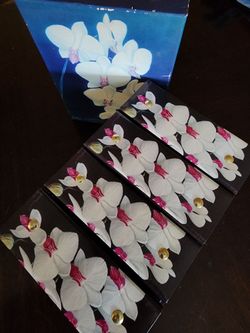 Vintage Bottanelli White Orchid Photo Album Set in Tiered Storage Case Box