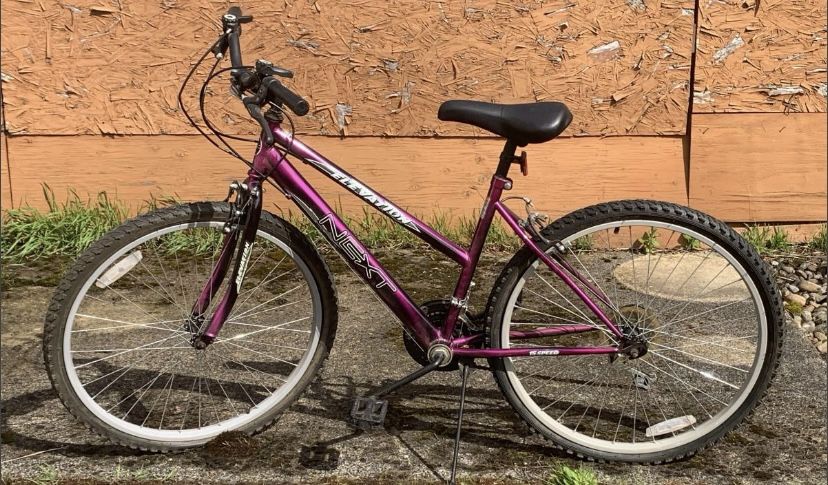 Next Elevation Mountain Bike