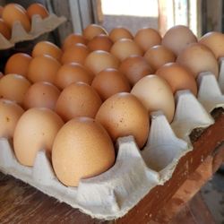 Fresh eggs