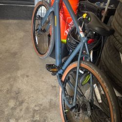 Mountain Bike Diamondback  Division 