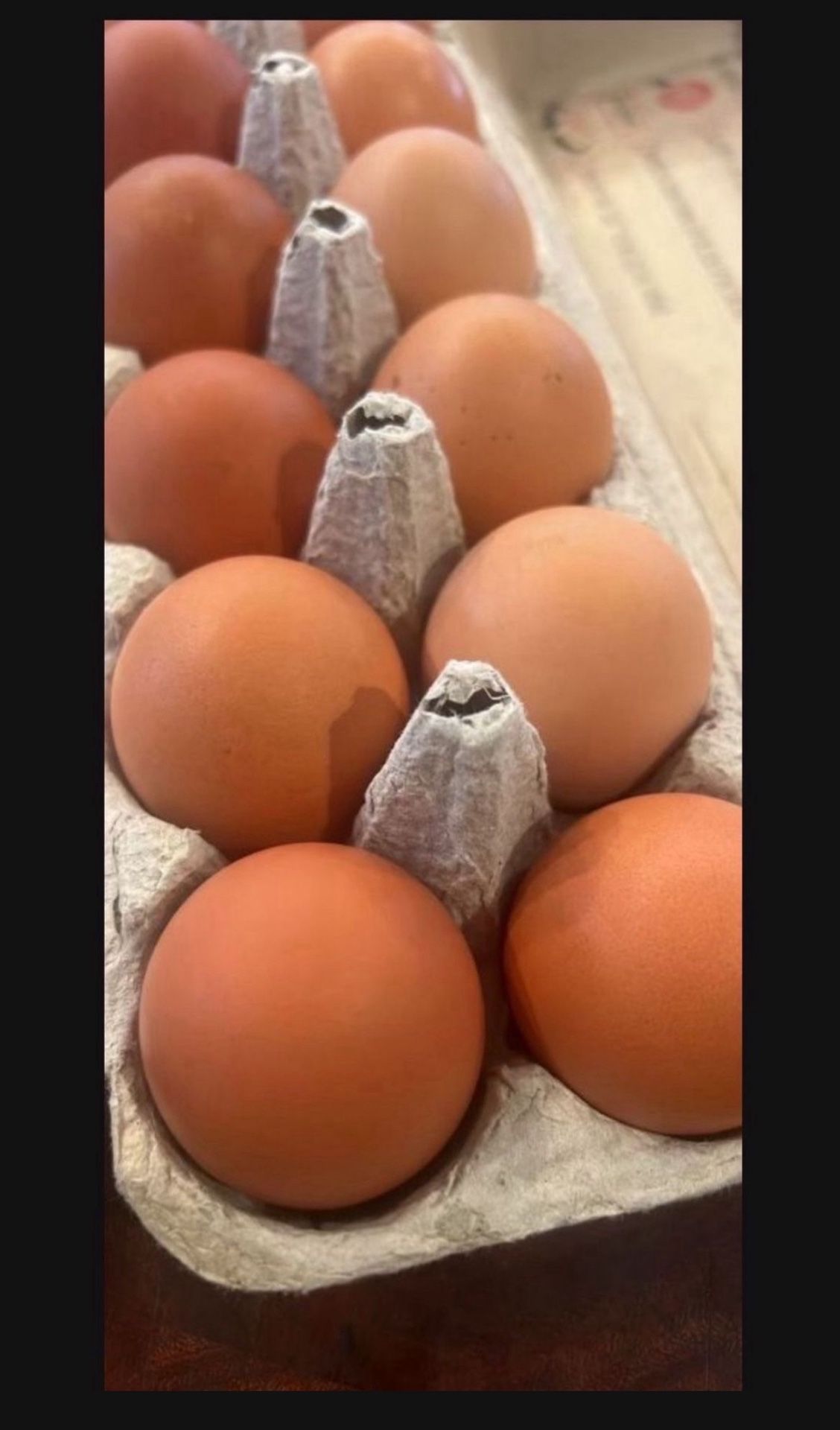 FARM FRESH EGGS 