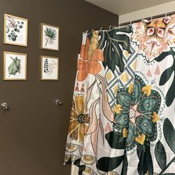 Shower Curtain & Picture Set