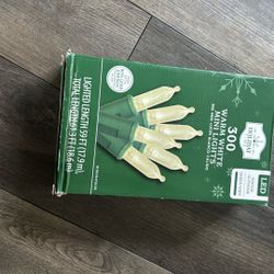 300 Count  White Lights 