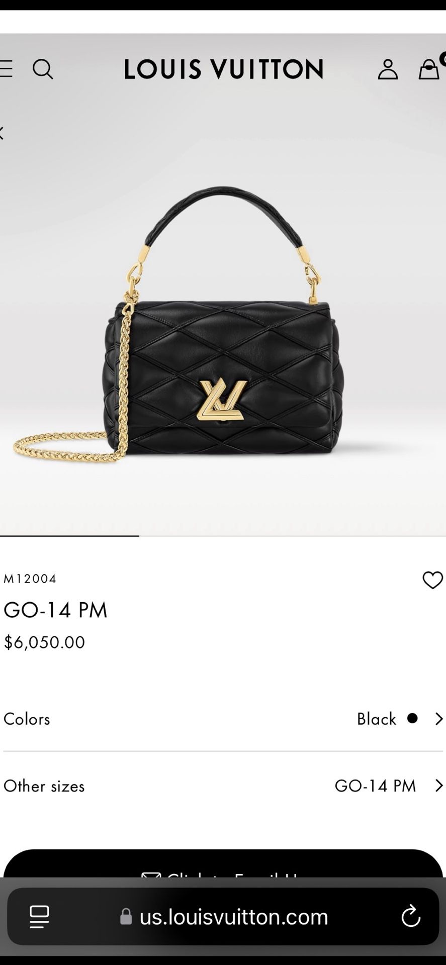 GO-14 PM : Louis Vuitton Bag