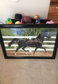 framed horse picture