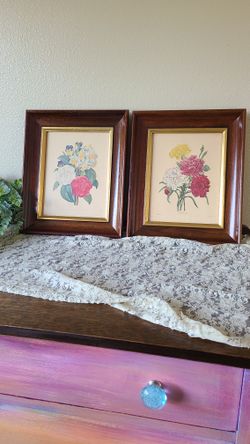 Two Botanical Prints In Vintage Frames