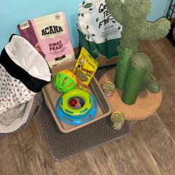 Kitten Bundle Supplies 