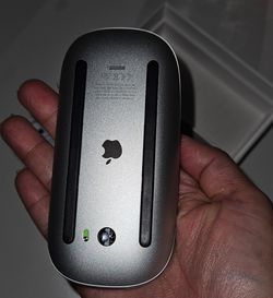 Moises Apple