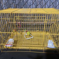 Bird Case