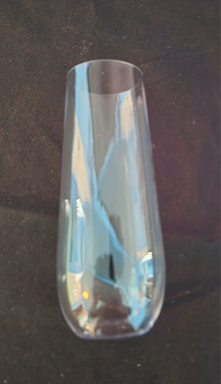 Reusable Plastic Champaign Glasses