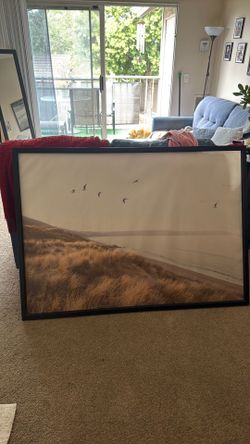 IKEA 55x40 canvas wall art with frame