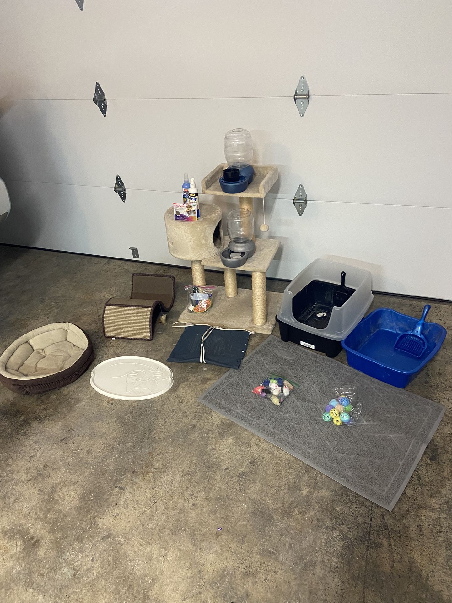 Pet Supplies “ Cat “