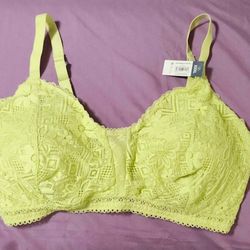 Lace Bralette - Lime Green