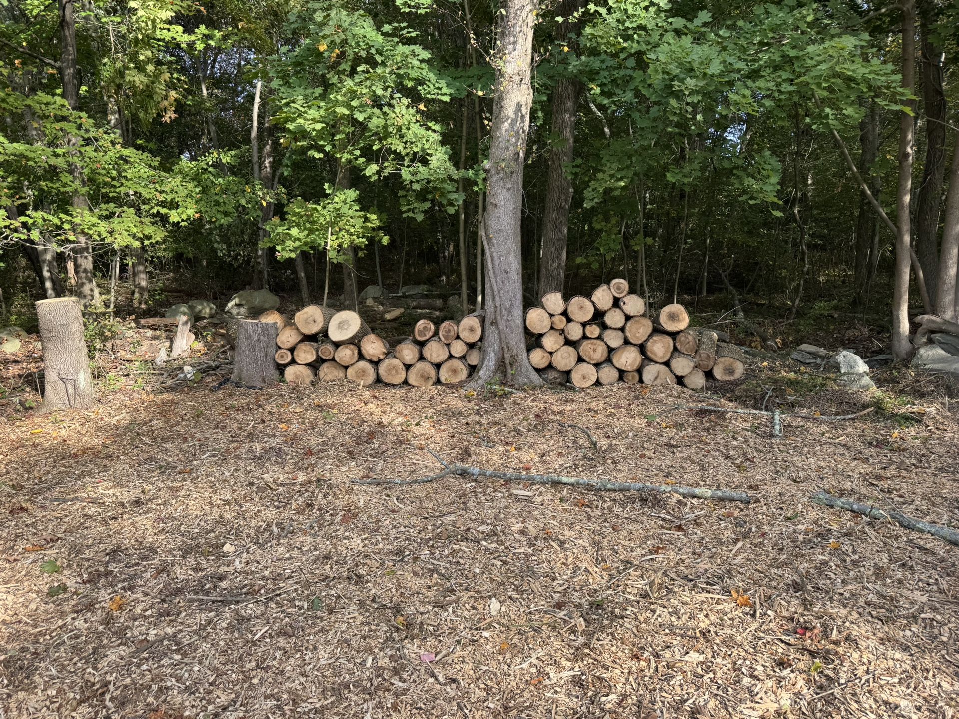 Wood 🪵 For Sale