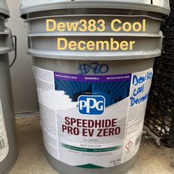 5 Gallon Paint 