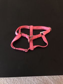 Dog harness