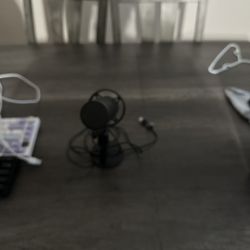 Monitor And Microphone 