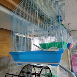 Bird Cages