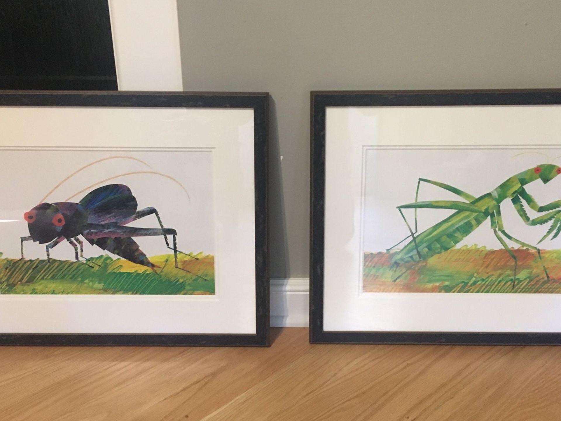 Two Eric Carle framed and matted bug prints