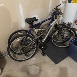 2 Mountain Bikes 
