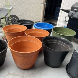 Plant & Tree Pots