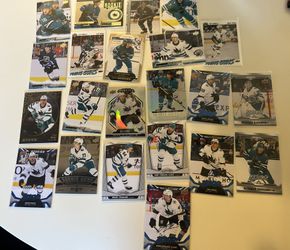 Shark Cards 