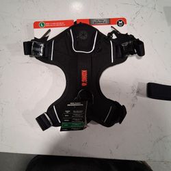 Kong Harnesses And Leashes All Sizes Msg For Info
