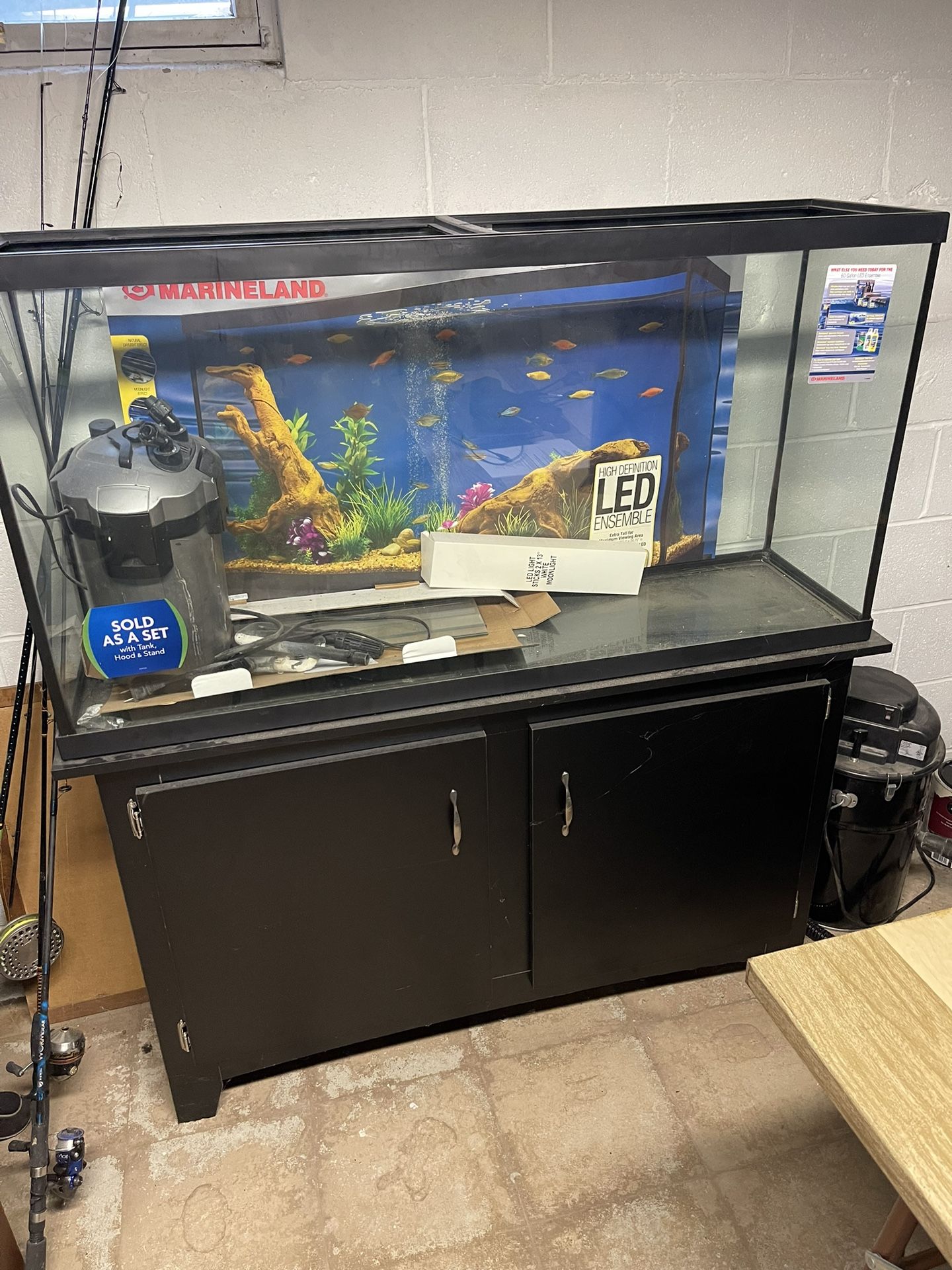 60 Gallon Fish Tank