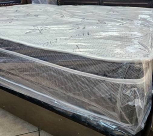 Today's Special Single Twin Mattress 99 Full Double 159 Queen Bed 179 King 229 California King 229 Frame 69 XL Twin Mattresses All Sizes Available