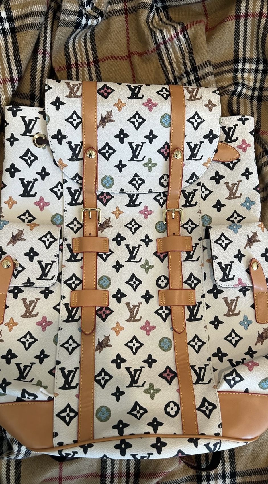 Louie Bookbag