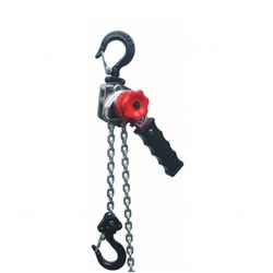 Dayton Chain Hoist 