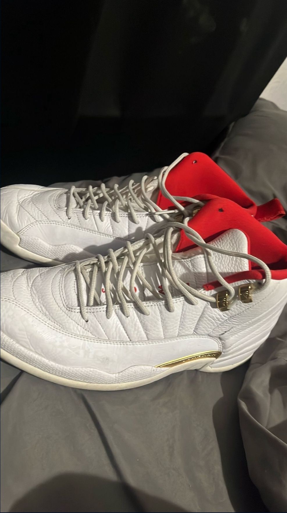 Air Jordan 12s
