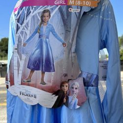 Disney Frozen Elsa Anna Dress Up Costume 