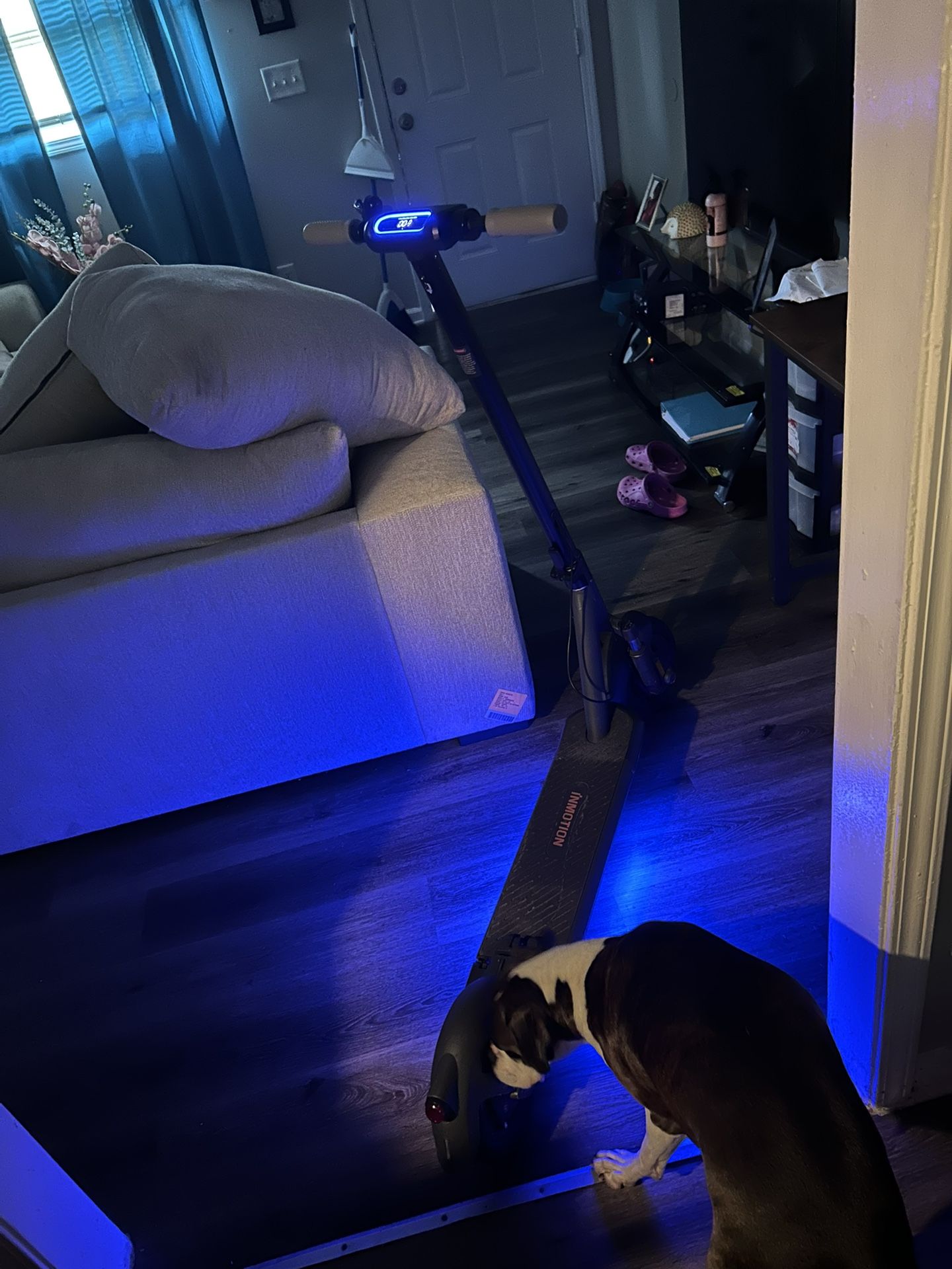 INMOTION Scooter