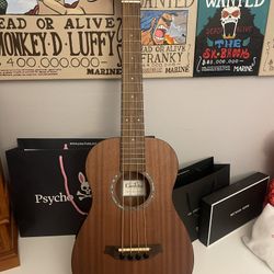 Brand New Cordoba Mini II  Bass MH-E Maghogany,small Body, Acoustic-electric Bass Guitar 