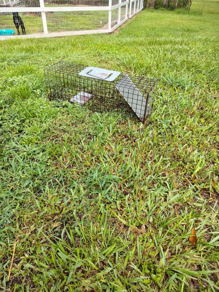 Critter Trap