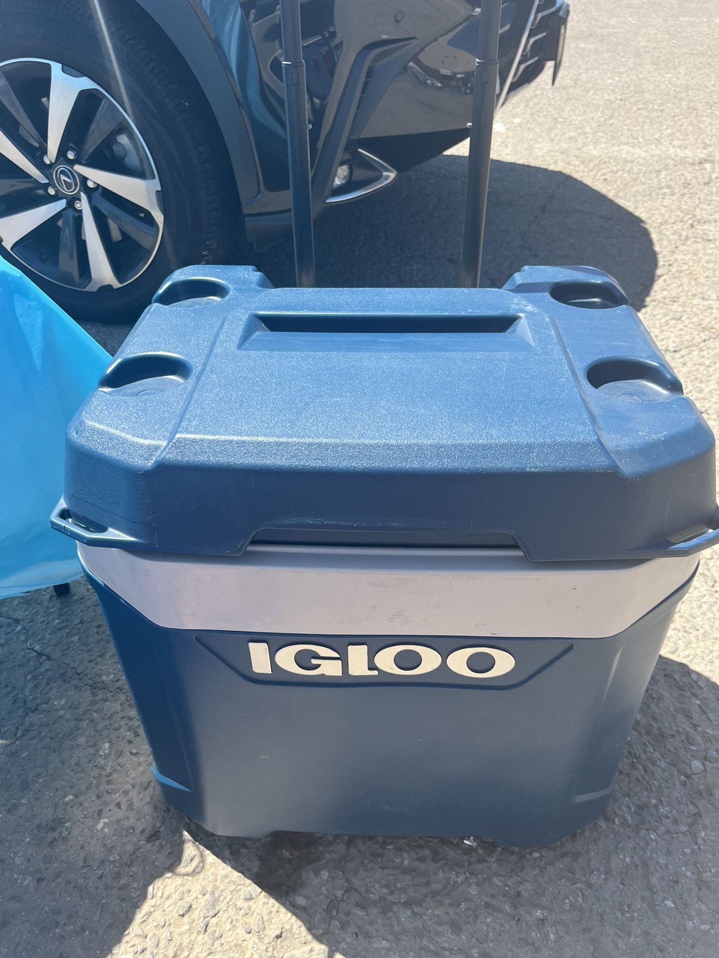 Igloo Cooler 
