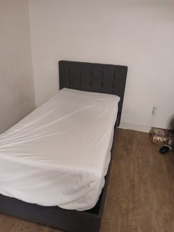 Cama