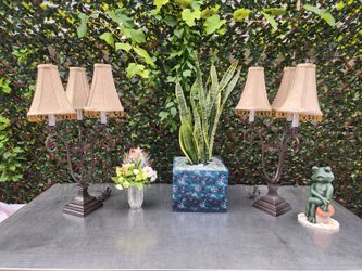 2  beautiful road iron base night 🌙 stand base lamps ...beautifull snake plant ..frog figurine ..& silk flower Arangment...all for $35