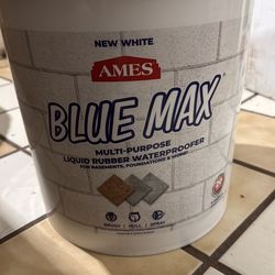 Blue Max