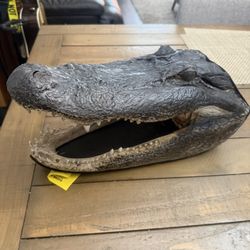 Gator Head 