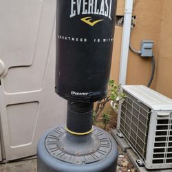 Free Standing Punching Bag