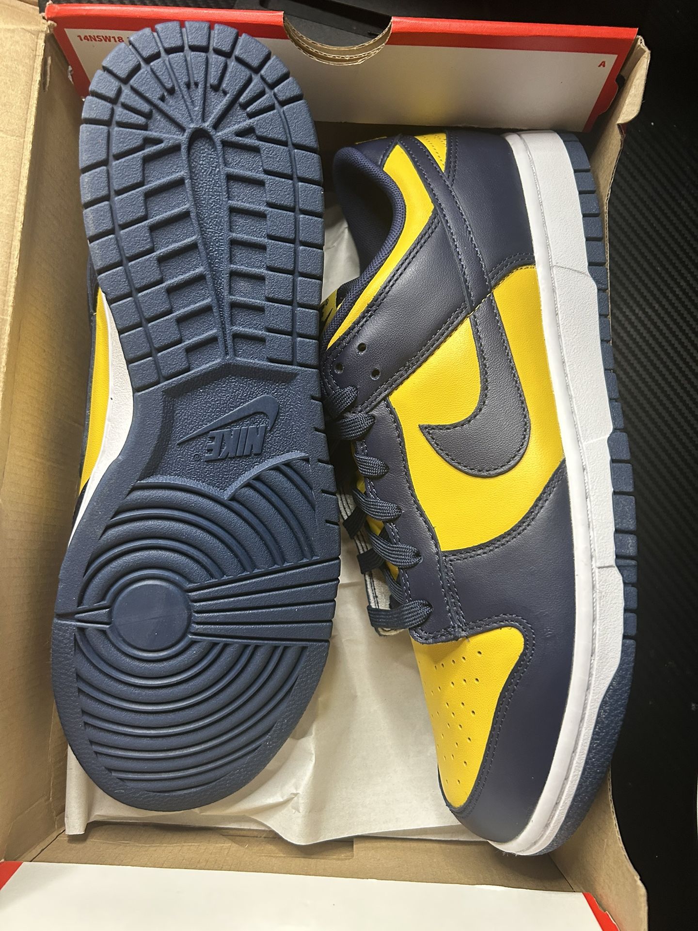 Nike Dunk Low Michigan Size 11.5 New